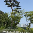 수원 영흥 수목원 주차장 입장료 할인 회원제