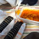 안산 노적봉폭포공원 봄 소풍 추천 | 벚꽃 아래 돗자리 피크닉 김밥 라볶이 힐링 나들이 후기...