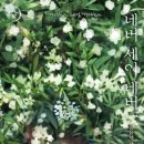 네버네버