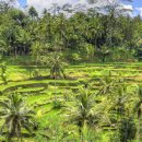 (주)크라운항공여행사 이미지