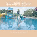 부수지공원 | 동춘동 물놀이터 부수지공원 다녀왔어요!