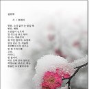 설중매 / 홍해리 이미지