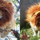 대광당김영두한의원 이미지