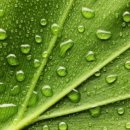 핏피티(Fit PT) 이미지