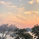 여수경도펜션 카라반 이미지