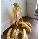 바나나 오래 보관하는법(?) 이미지