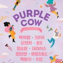 퍼플카우