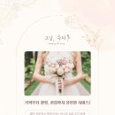 W. DVD