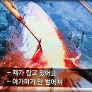 거대참치