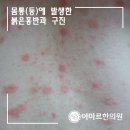 설성반점