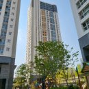 소담동_새샘701동 이미지