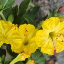 계산3동 행정복지센터 이미지