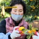 용심농장 네이버블로그