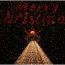 무주군청 이미지