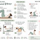 옐로우점프(Yellow Jump) | [청량리필라테스]필라테스에서 바운스(Bounce) 동작이란?