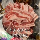 지누집 | 부산 냉삼 맛집 덕천 지누집 냉삼겹살 내돈내산 후기