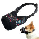 글로벌진돗개 이미지