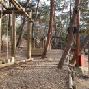 입화산참살이숲 야영장 이미지