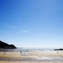 시온부동산중개법인 이미지