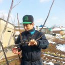 목화농원 이미지