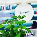 에제르헤어 이미지