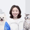 펫맘애 이미지