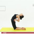 다이어트 요가 이미지