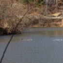 의령 운곡리 고분군 이미지