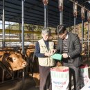 구암한우농장 이미지