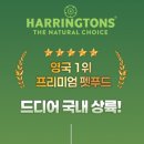 마케팅프리 | 해링턴 강아지사료추천 | 비숑 강아지 그레인프리사료 솔직후기