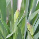 창포세탁소 이미지