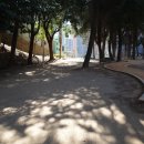 수정1배수지공원 이미지