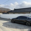 스테이 띠앗 이미지