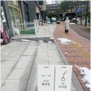 광교속눈썹 래쉬빈