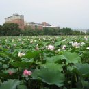 덕진공원(정문) 이미지