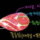 전국목장 이미지