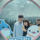 제주 필수방문 - 아쿠아플라넷 제주, 비올 때 실내 관광코스로 딱