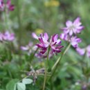 청포농장 이미지