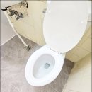 수원-0261 이미지