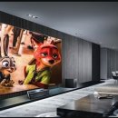 폼잡는개 이미지