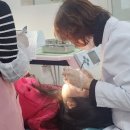 강북초등 이미지