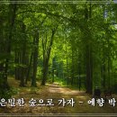 예향의 숲 이미지