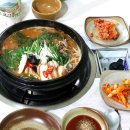 바위집염소 이미지