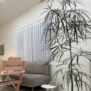 소망일다 이미지