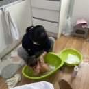 [정부지원 산후조리서비스]감사했던 ‘에이플러스 다산케어센터 중랑’ 산후관리사님 후기