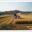 경북 상주에서 아버지께서 농사지으신 쌀, 현미, 찹쌀 판매합니다. 감사합니다. 이미지