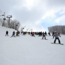 휘닉스파크 이미지