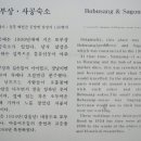 주막 옆 화장실 이미지