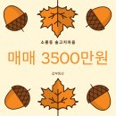 소룡동사무소 이미지