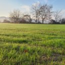 용순농장 이미지